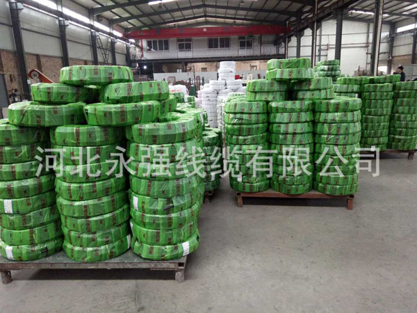 型号名称表示